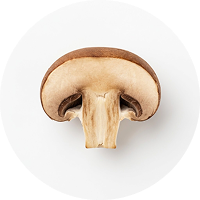 ERGOTHIONEINE